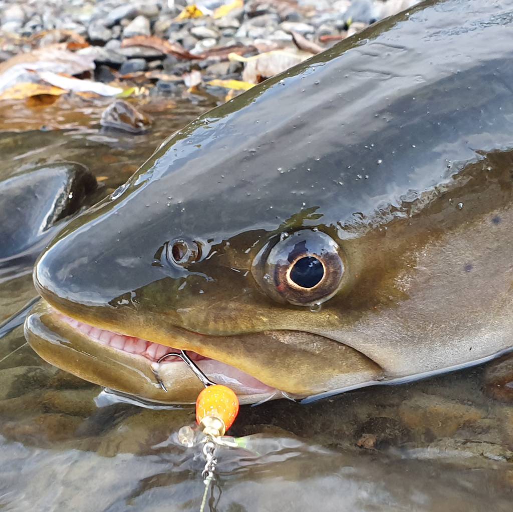 Иконка канала Немосфильм