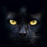 Иконка канала Gennadii