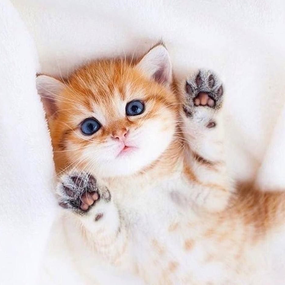 Иконка канала Лануля