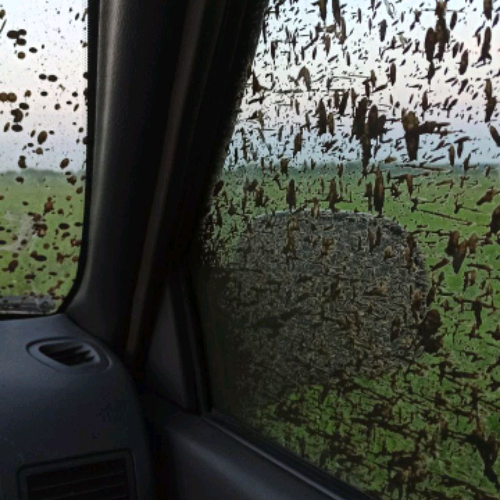 Иконка канала #ДРАКОДИЛ