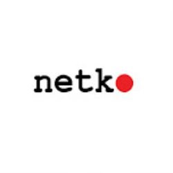 Иконка канала Netko.ru