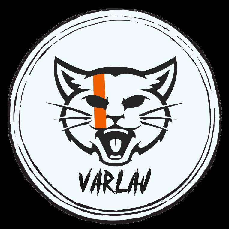 Иконка канала Varlav