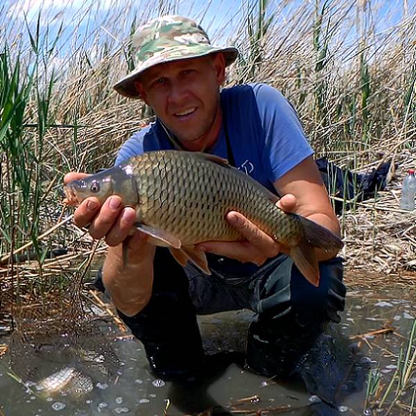 Иконка канала Romaxa. TV.