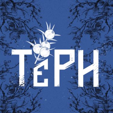 Иконка канала Фолк-рок группа ТЁРН