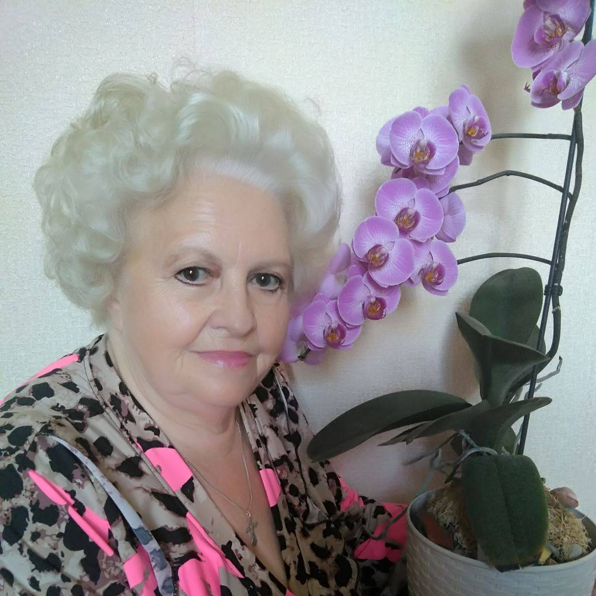 Иконка канала Мои орхидеи и не только