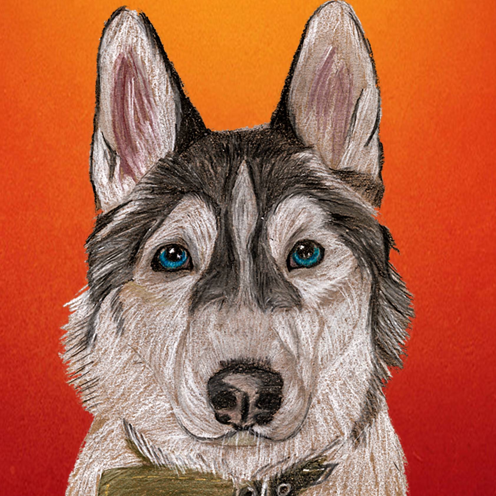 Хаски Бандит