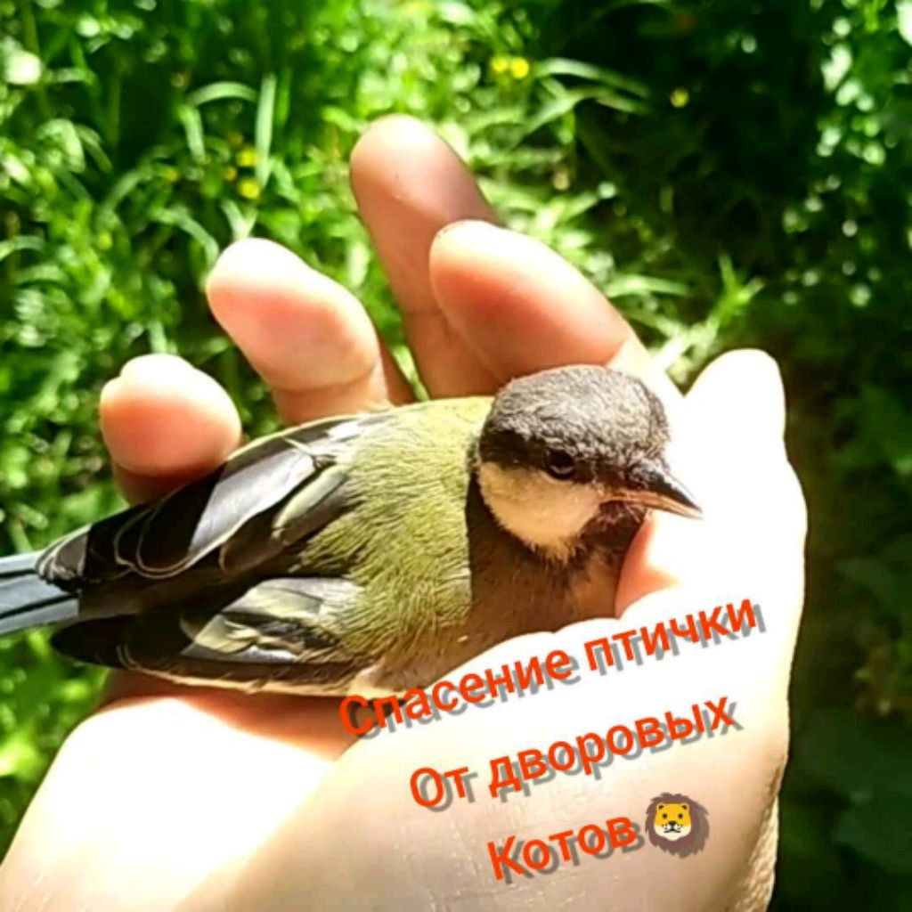 Иконка канала Житейские дела