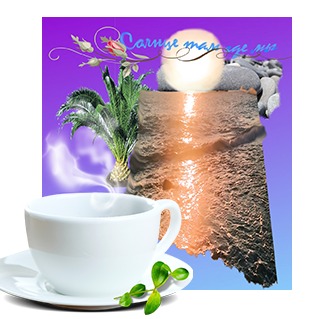 Иконка канала Солнце там где мы!