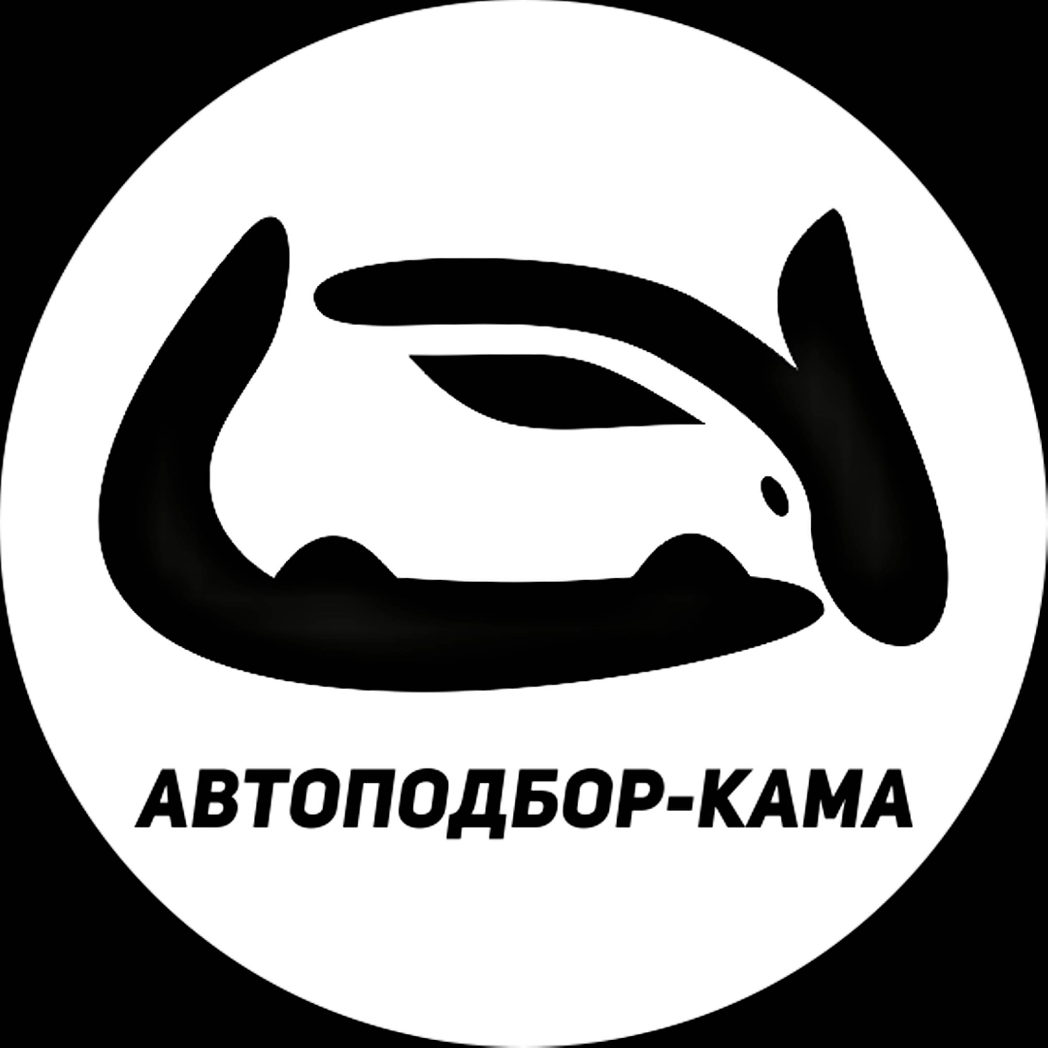 Иконка канала Автоподбор-Кама