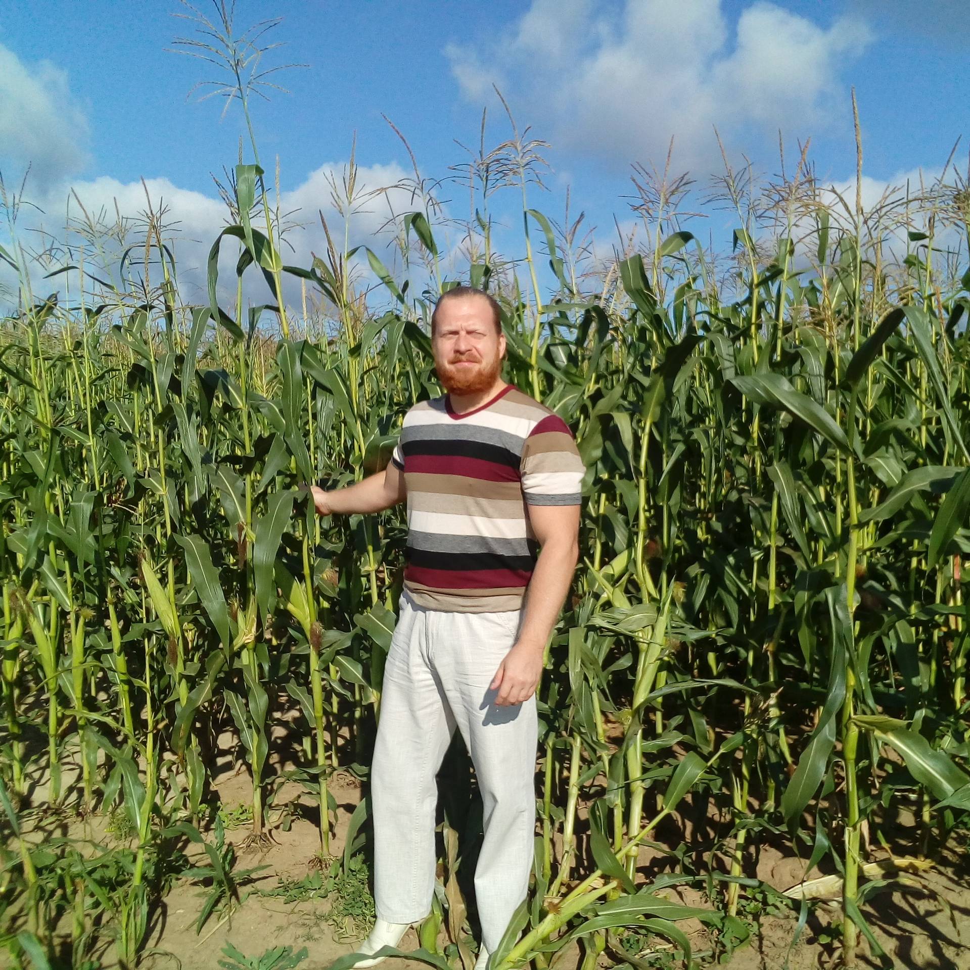 Иконка канала Илья Подгорный.