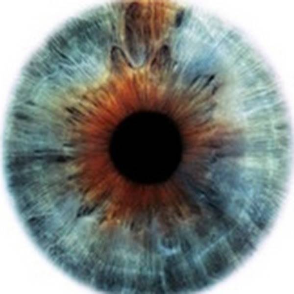 Иконка канала Xulo Ariandel