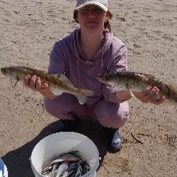 Иконка канала Fishing Family