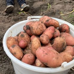 Иконка канала ГЁТС32