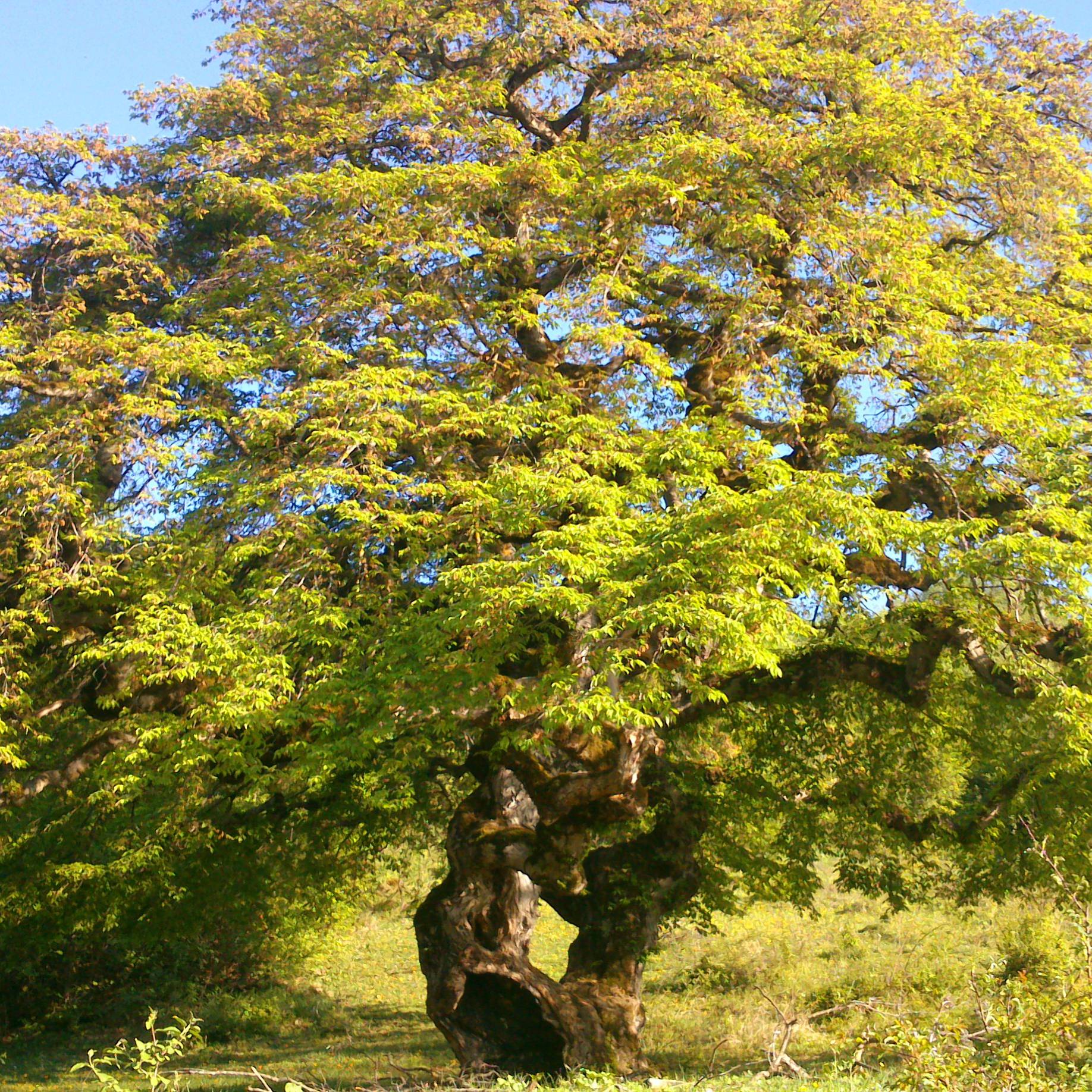 Иконка канала Все интересное на земле