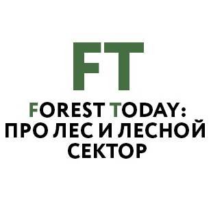 Иконка канала «Лес Сегодня» – о лесе и лесном секторе