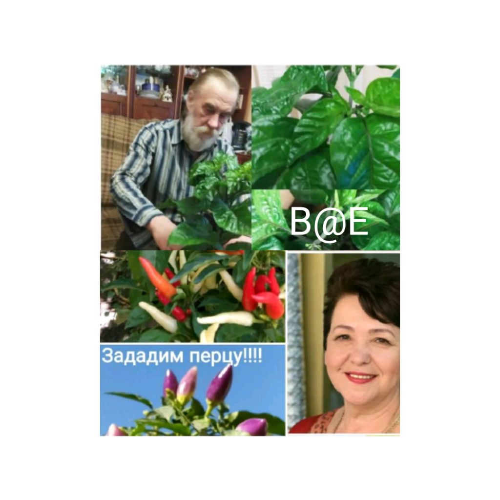 Иконка канала Elena_Perez_26