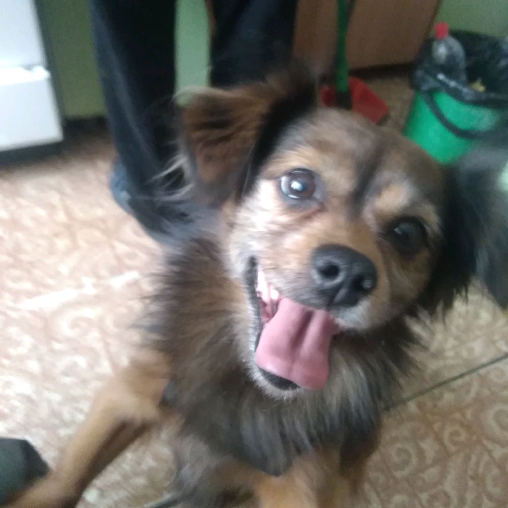 Иконка канала КАКТУС 777