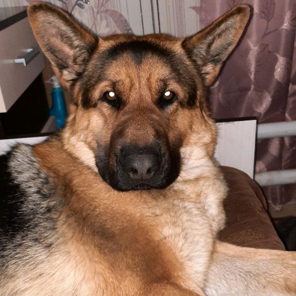 Иконка канала Liliya-Rem&Bars