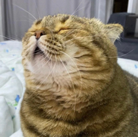 Иконка канала tusya_kiskis