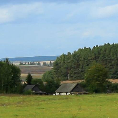 Иконка канала ДОМ В ДЕРЕВНЕ