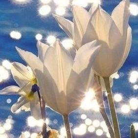 Иконка канала Эля