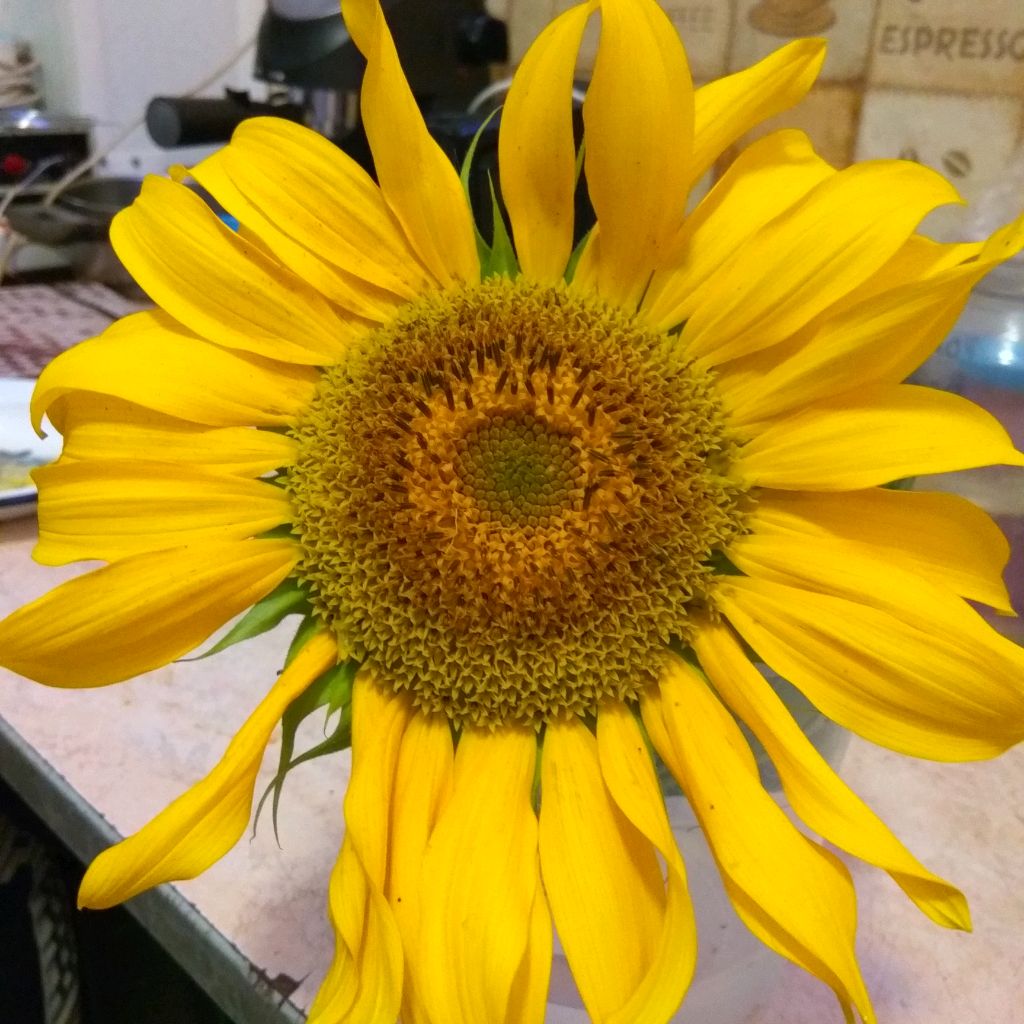 Иконка канала Христианский канал