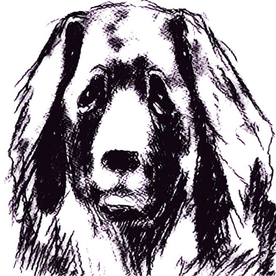 Иконка канала Ыспай Бит