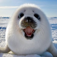 Иконка канала Интересные новости, юмор, стиль, мода, искусство.