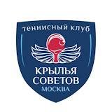 Иконка канала Крылья Советов