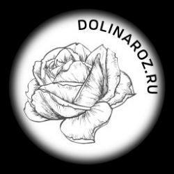 Иконка канала DolinaRoz