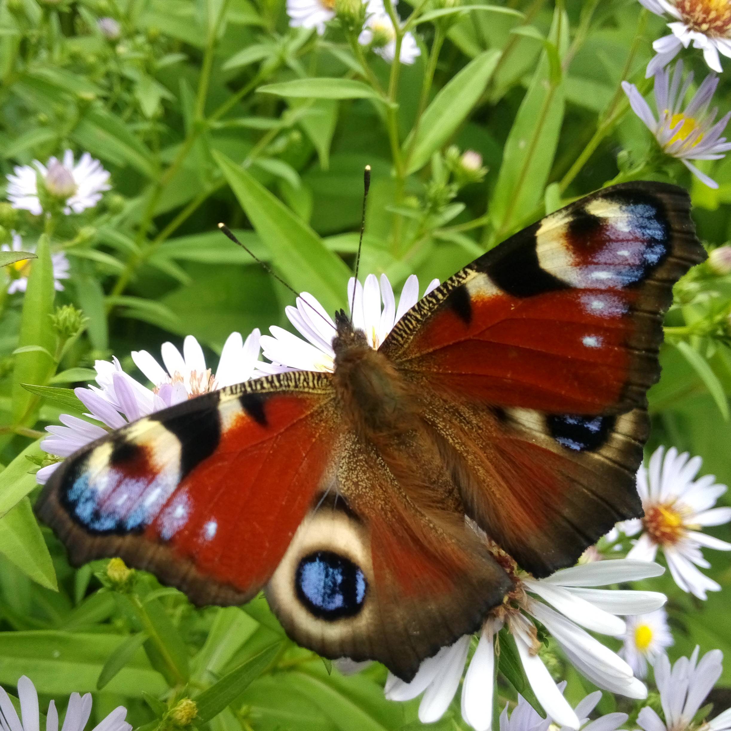 Иконка канала Гарипов Олег