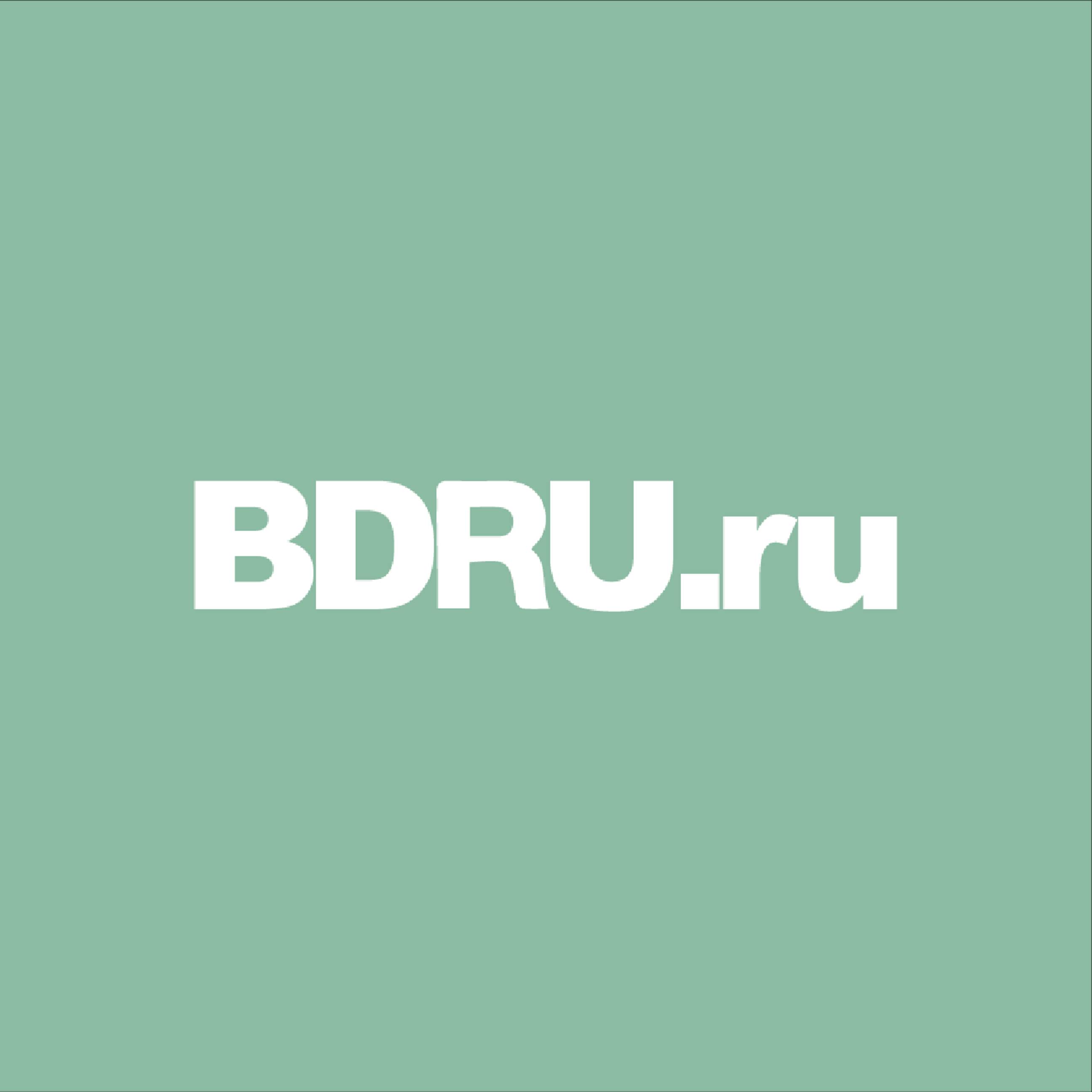 Иконка канала Агрегатор BDRU.ru