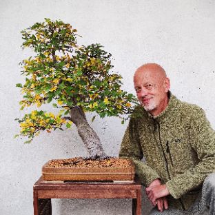 Иконка канала Мастерская бонсай и ниваки Андрея Дарусенкова