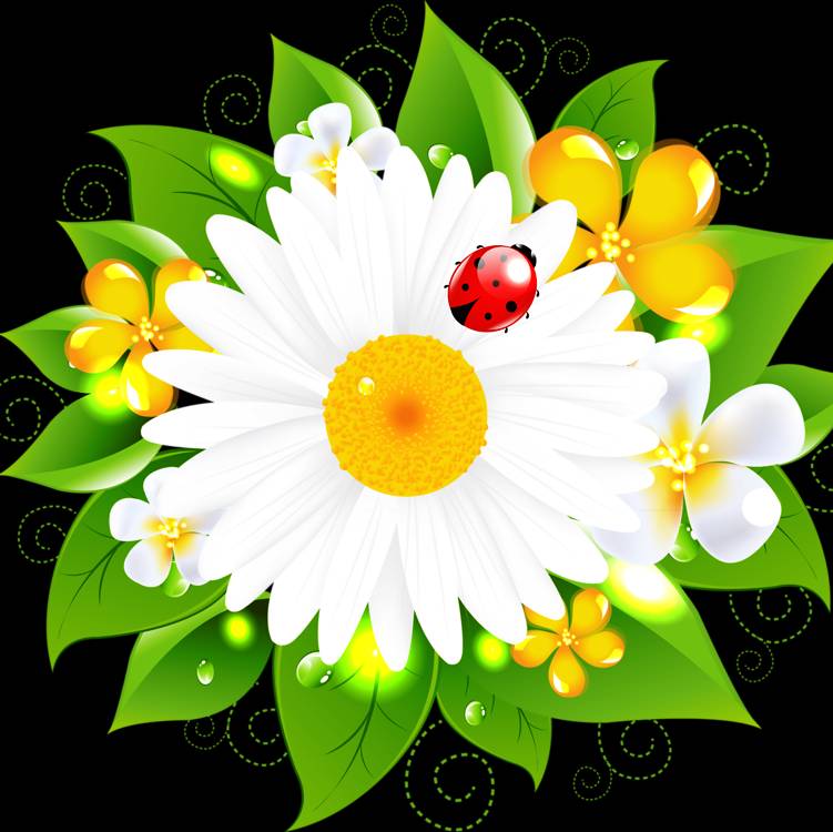 Иконка канала Ромашка Умница