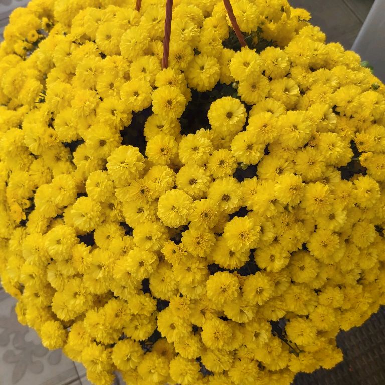 Иконка канала Роман Лозинов