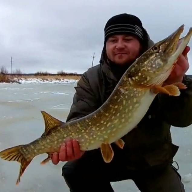 Иконка канала Темыч рыбалка37