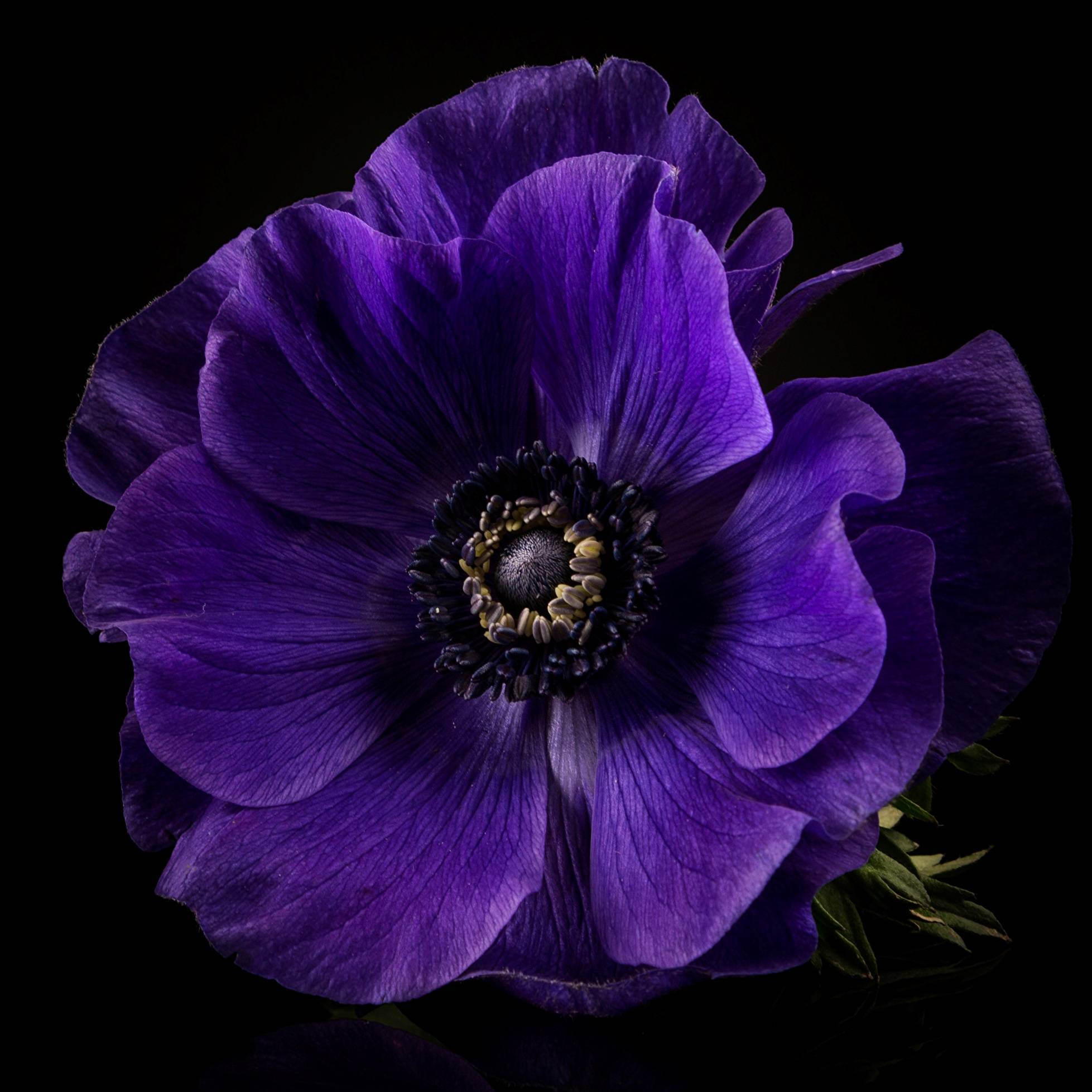 Иконка канала Таша Таро