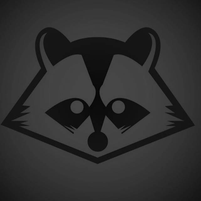 Иконка канала RaccoonFamily RU