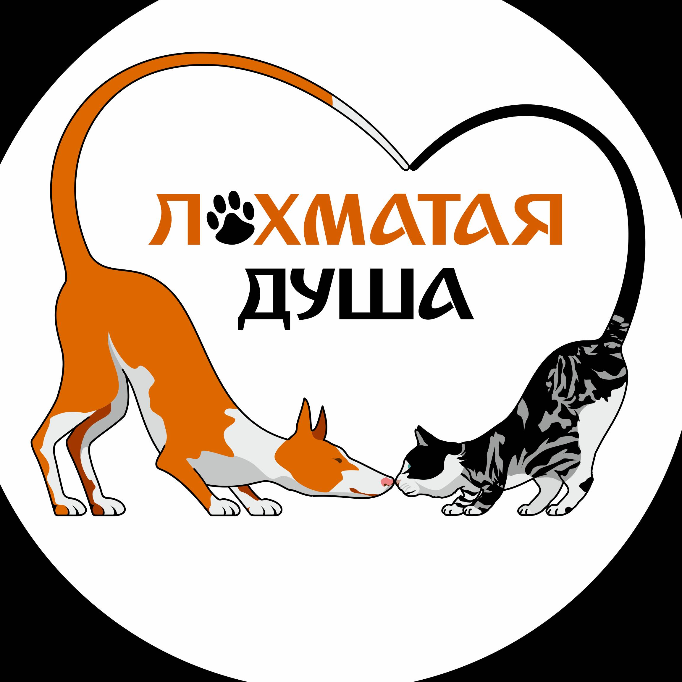 Иконка канала Лохматая Душа Валентины Силич