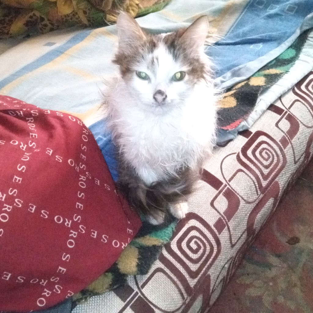 Иконка канала Вячеслав Моисеев