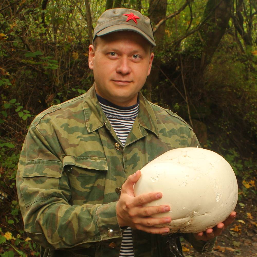 Иконка канала Антидиван