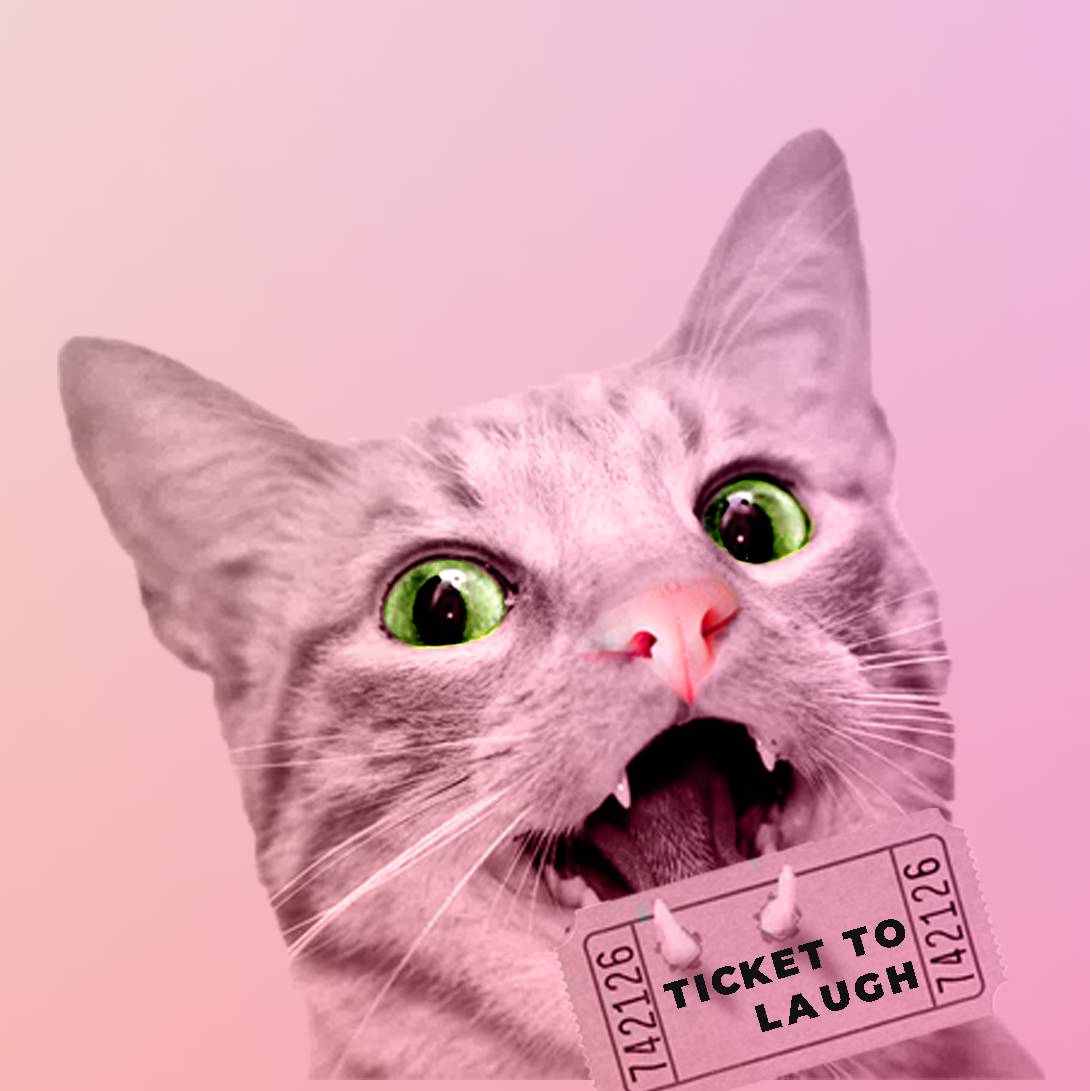 Иконка канала Котики. Смешные видео. Канал Ticket to Laugh
