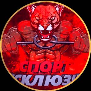Иконка канала Спорт Эксклюзив ММА