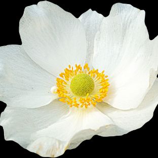 Иконка канала Tatyana