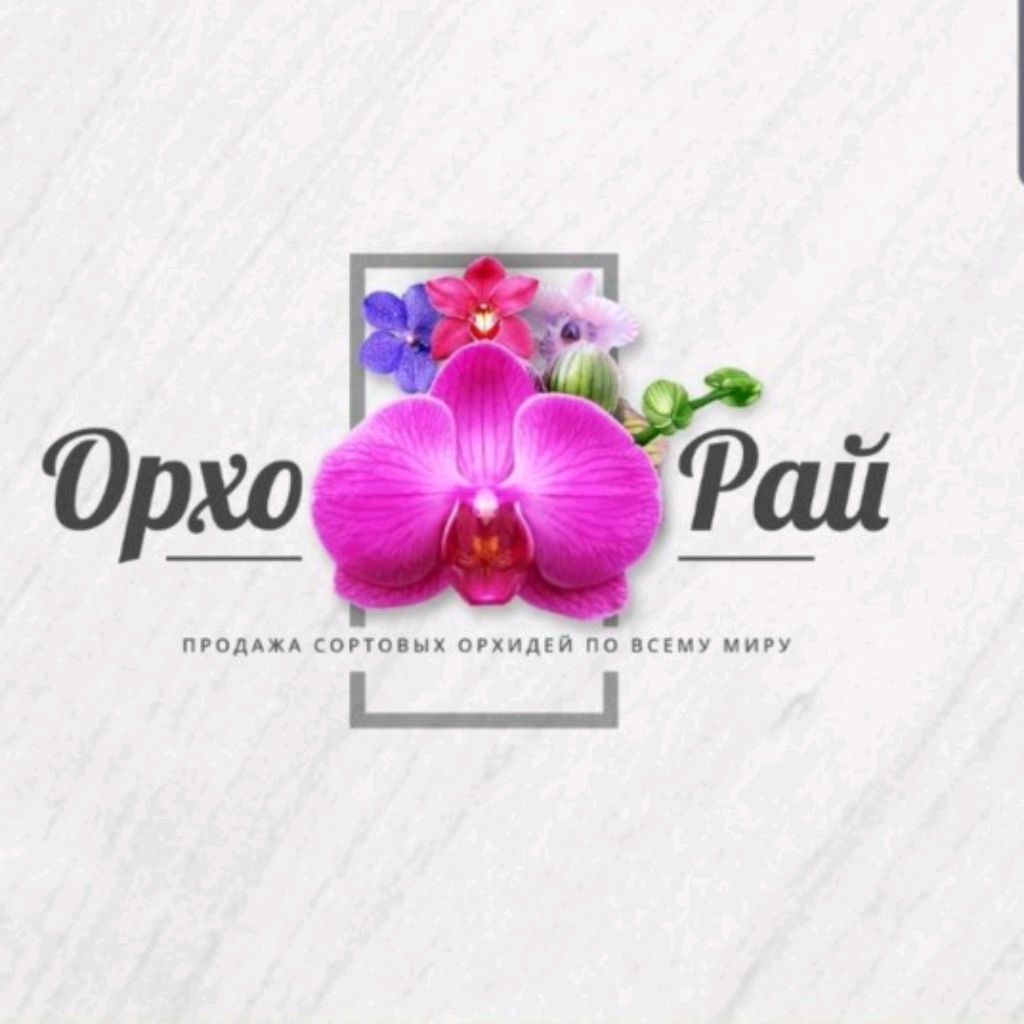 Иконка канала ОрхоРай