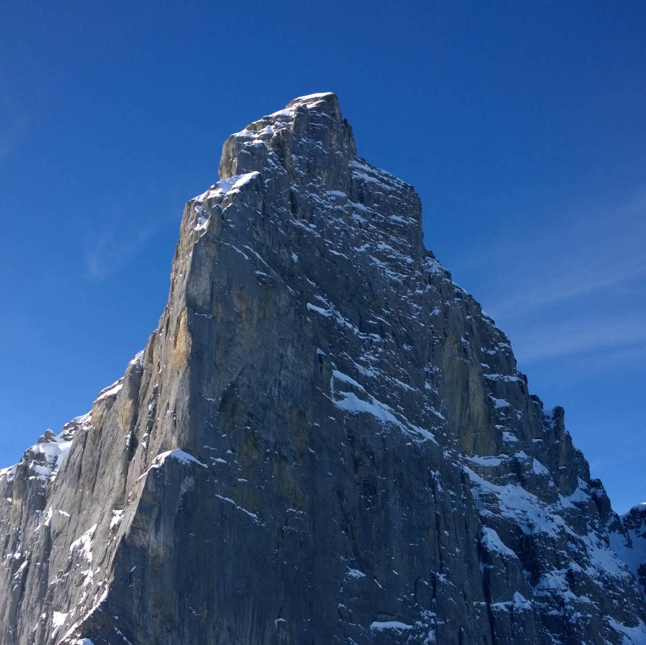 Иконка канала irbes