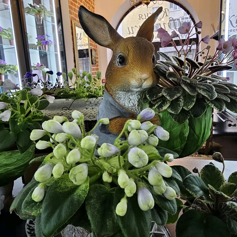 Иконка канала КУХНЯ ФИАЛКИ