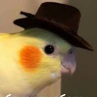 Иконка канала BoMjour 77727277272 SSSSSSSSSSSSSSSSX 😍