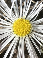 Иконка канала Привет, бабуль!