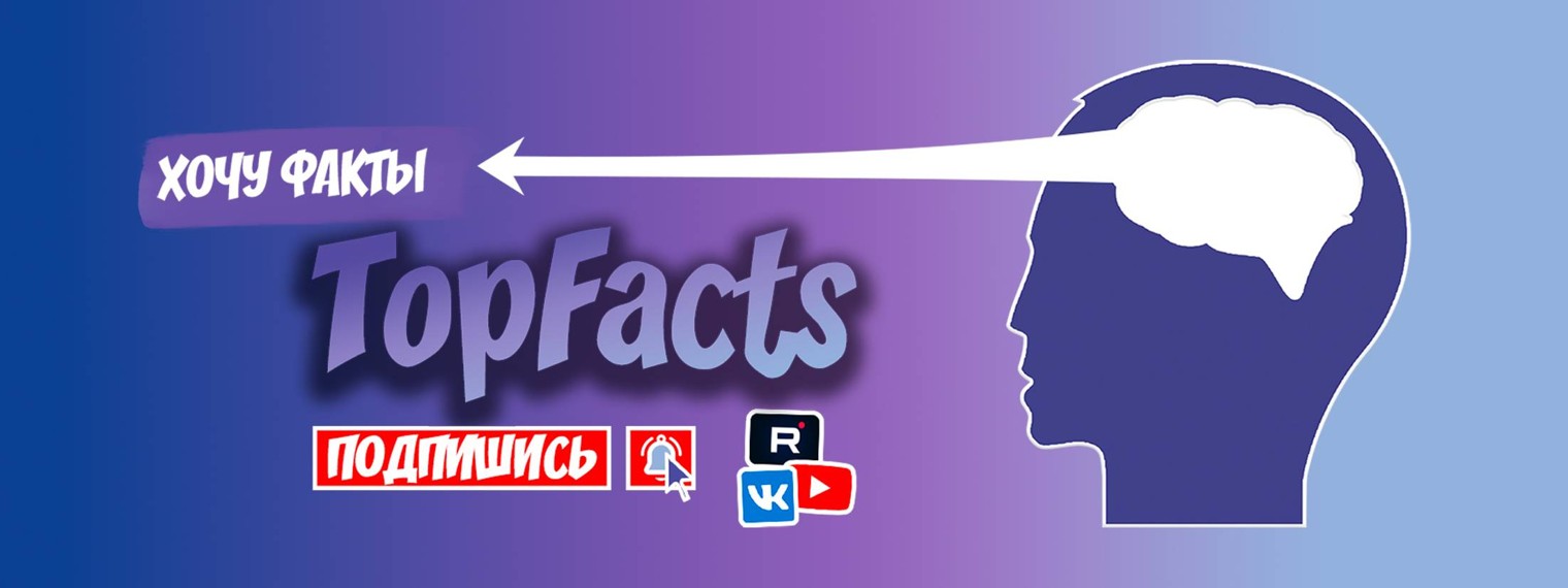 TopFacts